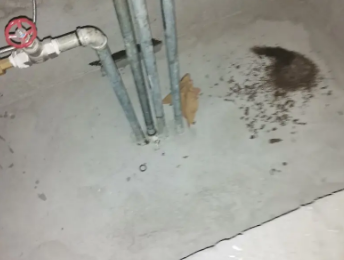 洪江卫生间测漏水价格明细