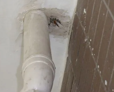 洪江漏水检测哪家好